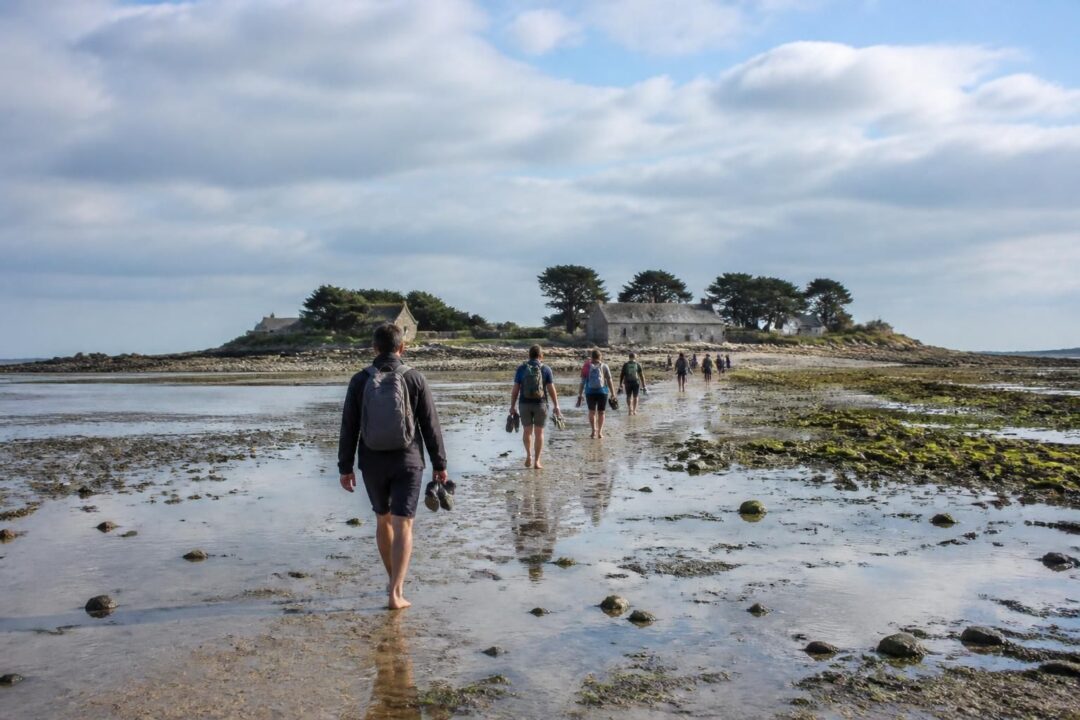 découvrez la traversée à pied de l'île de tatihou, accessible à marée basse. informez-vous sur les horaires, les conditions d'accès et les consignes de sécurité pour une visite en toute sérénité.