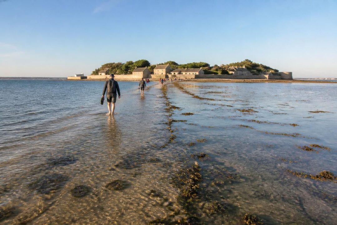 découvrez comment traverser l'île de tatihou à pied en fonction des marées, apprendre à lire le coefficient et choisir le meilleur créneau pour une promenade sécurisée.