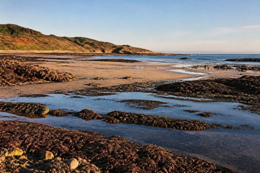 découvrez les marées du cotentin et comprenez les marnages caractéristiques de la côte est de la manche, un phénomène naturel fascinant influençant la vie maritime et côtière.