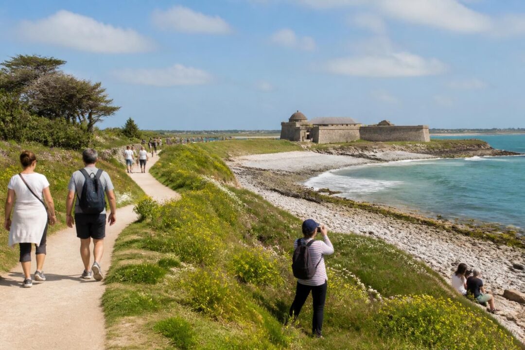 découvrez le temps idéal pour visiter l'île de tatihou : choisissez entre une demi-journée ou une journée complète et suivez notre programme détaillé pour profiter au maximum de cette escapade exceptionnelle.